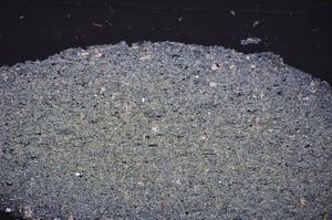 Cross Polarized, E48067