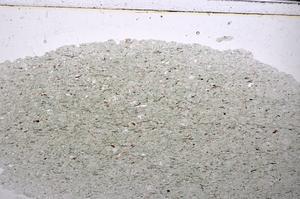 Plane Polarized, E48067