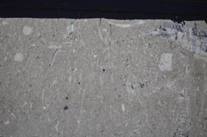 Cross Polarized, E48099