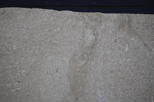 Cross Polarized, E48105