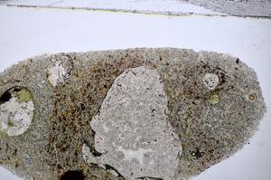 Plane Polarized, E48127
