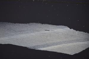 Cross Polarized, E48153A