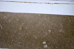Plane Polarized, E48173