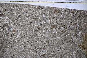Plane Polarized, E48174