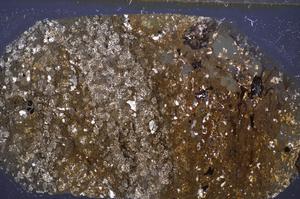 Cross Polarized, E48180