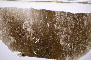 Plane Polarized, E48186