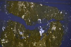 Cross Polarized, E48188