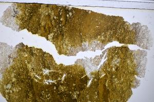 Plane Polarized, E48188