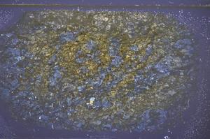 Cross Polarized, E48189