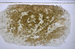 Plane Polarized, E48189