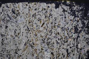 Cross Polarized, E48209