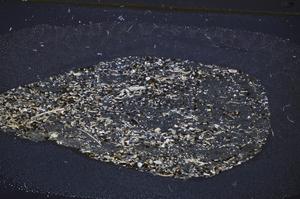 Cross Polarized, E48210