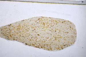 Plane Polarized, E48210