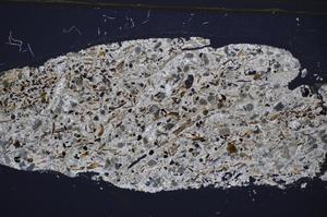 Cross Polarized, E48212