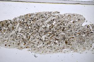 Plane Polarized, E48212