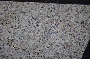 Cross Polarized, E48214