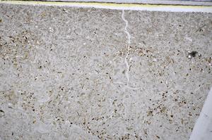 Plane Polarized, E48214