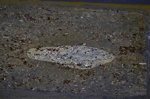 Cross Polarized, E48221