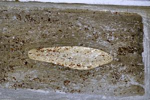 Plane Polarized, E48221