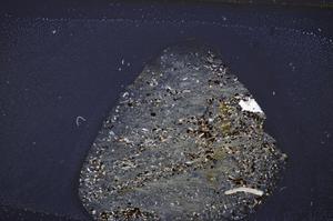 Cross Polarized, E48222