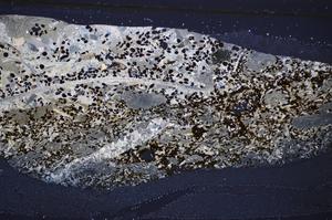 Cross Polarized, E48223/A