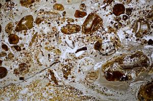 Plane Polarized, E48230/D