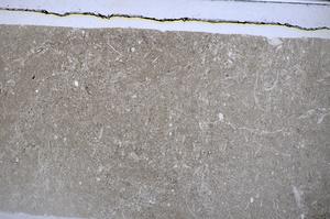 Plane Polarized, E48246