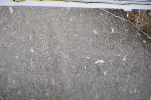 Plane Polarized, E48253