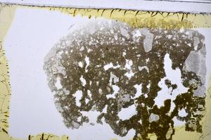 Plane Polarized, E48257