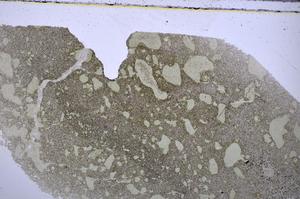 Plane Polarized, E48263