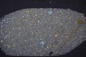 Cross Polarized, E48266