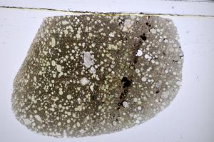 Plane Polarized, E48267
