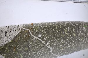Plane Polarized, E48272