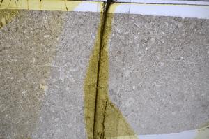 Plane Polarized, E48274