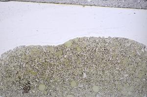 Plane Polarized, E48281