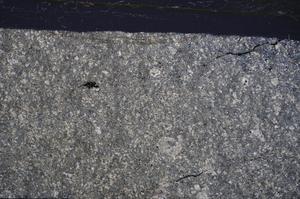 Cross Polarized, E48284/A
