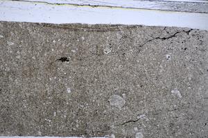 Plane Polarized, E48284/A