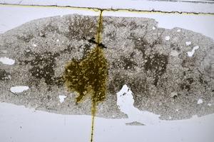 Plane Polarized, E48284/B