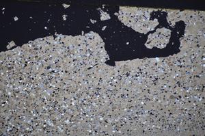 Cross Polarized, E48289