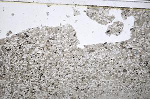 Plane Polarized, E48289