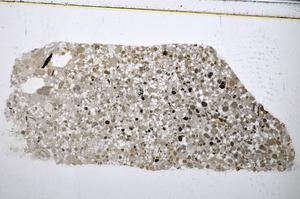 Plane Polarized, E48290