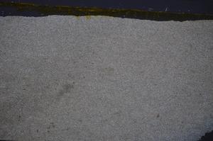 Cross Polarized, E48292