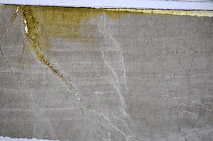 Plane Polarized, E48294