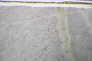 Plane Polarized, E48304/A