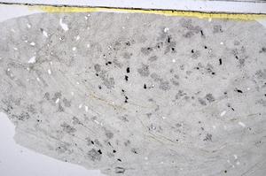 Plane Polarized, E48313