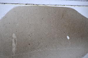 Plane Polarized, E48320