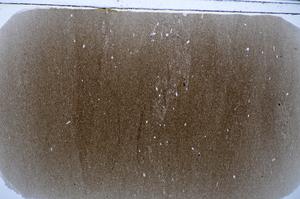 Plane Polarized, E48323