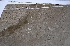 Plane Polarized, E48325