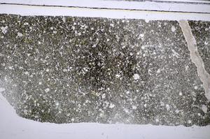 Plane Polarized, E48333