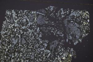 Cross Polarized, E48336